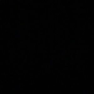 Meet your Posher, Lucy